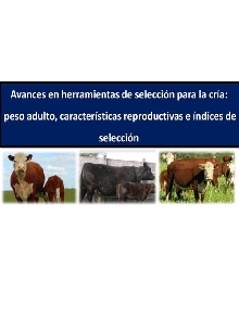 Foto Artículo